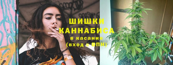 ешки Алзамай