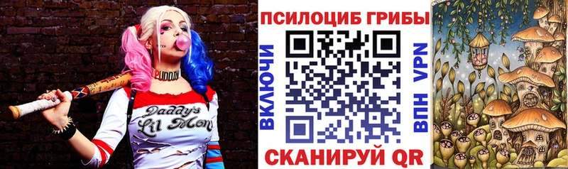 магазин Ладушкин Псилоцибиновые грибы Psilocybe